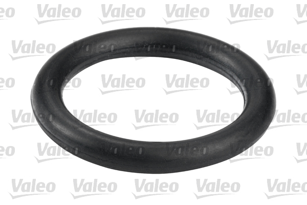 valeo 587557 Filtr paliwa