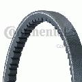 Pasek klinowy11,9X1013Ld, CONTITECH w ofercie sklepu e-autoparts.pl 