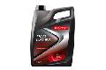OLEJ CHAMPION PRO RACING 10W60   5L8205316 CHA, CHAMPION w ofercie sklepu e-autoparts.pl 